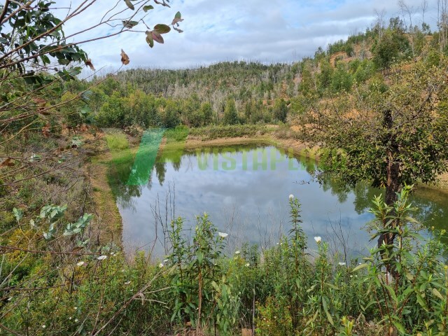 Terreno Urbano - Silves, Silves, Faro (Algarve) - Imagem grande