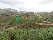 Terreno Rstico - Alferce, Monchique, Faro (Algarve) - Miniatura: 8/9