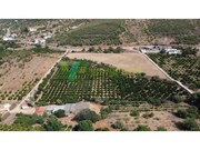 Terreno Urbano - Mexilhoeira Grande, Portimo, Faro (Algarve) - Miniatura: 1/9