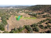 Terreno Rstico - Paderne, Albufeira, Faro (Algarve) - Miniatura: 3/9