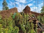 Terreno Urbano - Silves, Silves, Faro (Algarve) - Miniatura: 2/9