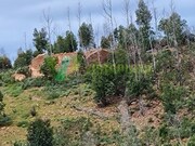 Terreno Urbano - Silves, Silves, Faro (Algarve) - Miniatura: 3/9