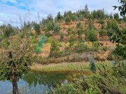 Terreno Urbano - Silves, Silves, Faro (Algarve) - Miniatura: 6/9