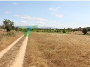 Terreno Urbano - Odi�xere, Lagos, Faro (Algarve) - Miniatura: 5/7