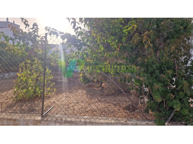 Terreno Urbano - Montenegro, Faro, Faro (Algarve) - Imagem grande