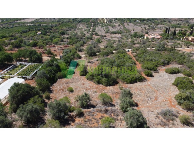 Terreno R�stico - S�o Bartolomeu de Messines, Silves, Faro (Algarve) - Imagem grande