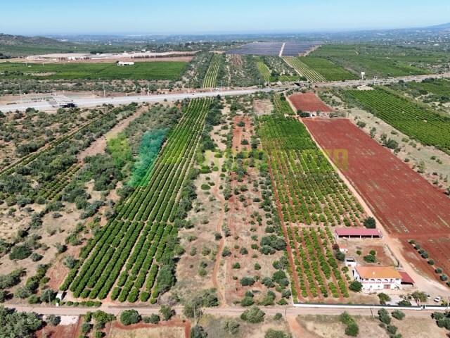 Terreno R�stico - Paderne, Albufeira, Faro (Algarve) - Imagem grande