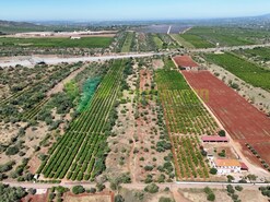 Terreno R�stico - Paderne, Albufeira, Faro (Algarve)