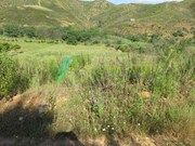Terreno Urbano - Alferce, Monchique, Faro (Algarve) - Miniatura: 6/9