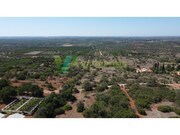 Terreno R�stico - S�o Bartolomeu de Messines, Silves, Faro (Algarve) - Miniatura: 1/8
