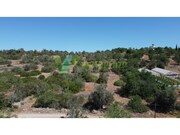 Terreno R�stico - S�o Bartolomeu de Messines, Silves, Faro (Algarve) - Miniatura: 3/8