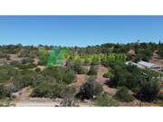 Terreno R�stico - S�o Bartolomeu de Messines, Silves, Faro (Algarve) - Miniatura: 4/8