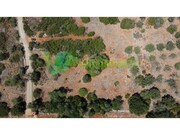 Terreno R�stico - S�o Bartolomeu de Messines, Silves, Faro (Algarve) - Miniatura: 5/8