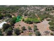 Terreno R�stico - S�o Bartolomeu de Messines, Silves, Faro (Algarve) - Miniatura: 6/8