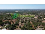 Terreno R�stico - S�o Bartolomeu de Messines, Silves, Faro (Algarve) - Miniatura: 7/8