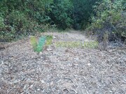 Terreno R�stico - Marmelete, Monchique, Faro (Algarve) - Miniatura: 4/9