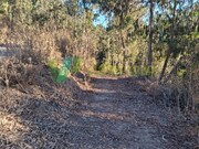 Terreno R�stico - Marmelete, Monchique, Faro (Algarve) - Miniatura: 5/9