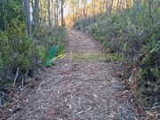 Terreno R�stico - Marmelete, Monchique, Faro (Algarve) - Miniatura: 7/9