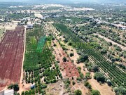 Terreno R�stico - Paderne, Albufeira, Faro (Algarve) - Miniatura: 4/9
