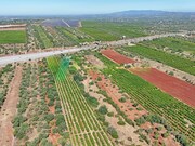 Terreno R�stico - Paderne, Albufeira, Faro (Algarve) - Miniatura: 6/9