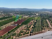 Terreno R�stico - Paderne, Albufeira, Faro (Algarve) - Miniatura: 9/9