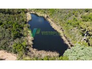 Terreno R�stico - S�o Marcos da Serra, Silves, Faro (Algarve) - Miniatura: 7/9