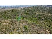 Terreno R�stico - S�o Marcos da Serra, Silves, Faro (Algarve) - Miniatura: 9/9
