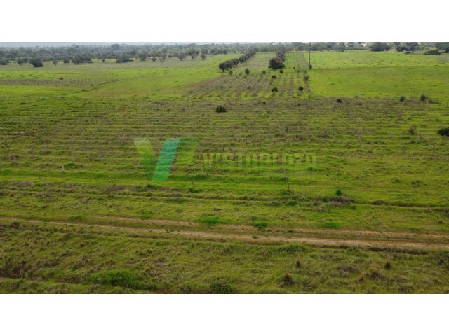 Terreno R�stico - Paderne, Albufeira, Faro (Algarve) - Imagem grande