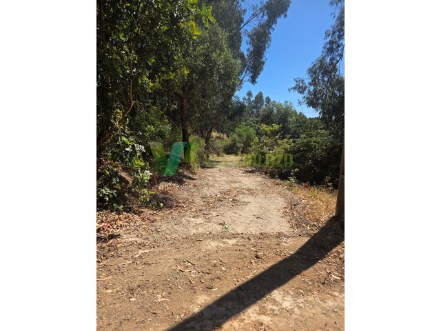 Terreno Urbano - Marmelete, Monchique, Faro (Algarve) - Imagem grande