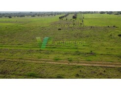 Terreno R�stico - Paderne, Albufeira, Faro (Algarve)