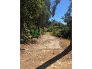 Terreno Urbano - Marmelete, Monchique, Faro (Algarve)