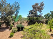 Apartamento T3 - Alvor, Portimo, Faro (Algarve) - Miniatura: 6/9