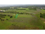 Terreno R�stico - Paderne, Albufeira, Faro (Algarve) - Miniatura: 1/9