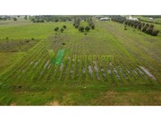 Terreno R�stico - Paderne, Albufeira, Faro (Algarve) - Miniatura: 2/9