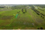 Terreno R�stico - Paderne, Albufeira, Faro (Algarve) - Miniatura: 3/9