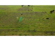 Terreno R�stico - Paderne, Albufeira, Faro (Algarve) - Miniatura: 5/9