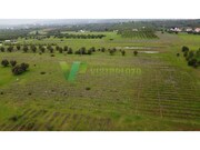 Terreno R�stico - Paderne, Albufeira, Faro (Algarve) - Miniatura: 6/9