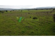 Terreno R�stico - Paderne, Albufeira, Faro (Algarve) - Miniatura: 8/9