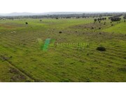 Terreno R�stico - Paderne, Albufeira, Faro (Algarve) - Miniatura: 9/9