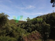 Terreno Urbano - Marmelete, Monchique, Faro (Algarve) - Miniatura: 3/9