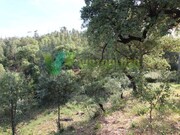 Terreno Urbano - Marmelete, Monchique, Faro (Algarve) - Miniatura: 7/9