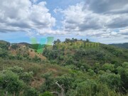 Terreno Urbano - S�o Marcos da Serra, Silves, Faro (Algarve) - Miniatura: 3/9