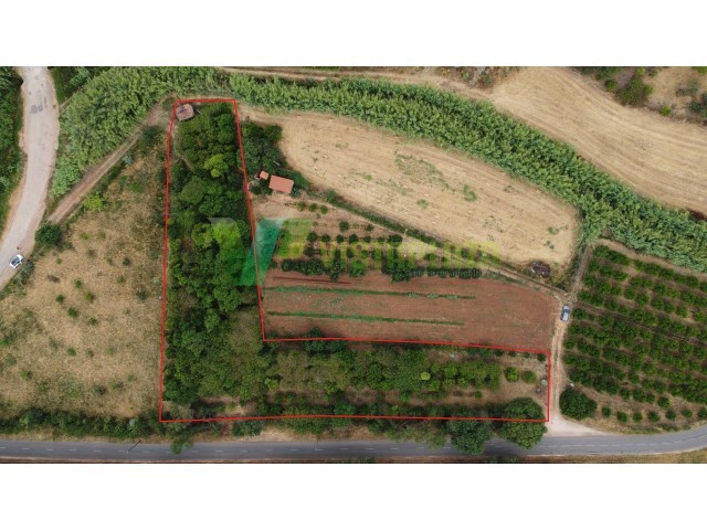 Terreno R�stico - Silves, Silves, Faro (Algarve) - Imagem grande