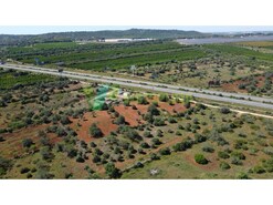 Terreno R�stico - Paderne, Albufeira, Faro (Algarve)