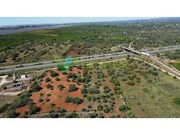 Terreno R�stico - Paderne, Albufeira, Faro (Algarve) - Miniatura: 1/9