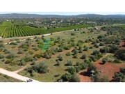 Terreno R�stico - Paderne, Albufeira, Faro (Algarve) - Miniatura: 4/9
