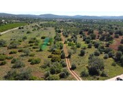 Terreno R�stico - Paderne, Albufeira, Faro (Algarve) - Miniatura: 6/9
