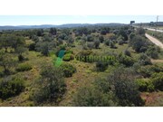 Terreno R�stico - Paderne, Albufeira, Faro (Algarve) - Miniatura: 8/9