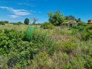 Terreno Urbano - Alcantarilha, Silves, Faro (Algarve) - Miniatura: 7/9