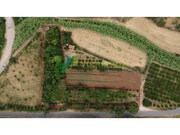 Terreno R�stico - Silves, Silves, Faro (Algarve) - Miniatura: 2/9